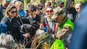 Przy Wilczym Szańcu posadzono 5000 dębów - zdjęcie 15
