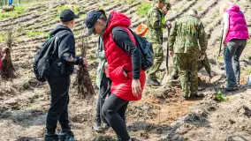 Przy Wilczym Szańcu posadzono 5000 dębów - zdjęcie 2