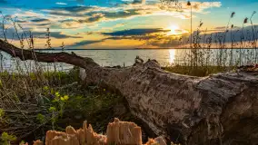 Wiosenny zachód słońca nad Darginem - zdjęcie 4