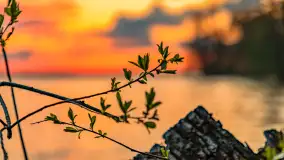 Wiosenny zachód słońca nad Darginem - zdjęcie 52