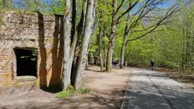 Majowy spacer po Wilczym Szańcu w Gierłoży - zdjęcie 12