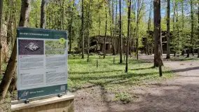 Majowy spacer po Wilczym Szańcu w Gierłoży - zdjęcie 23