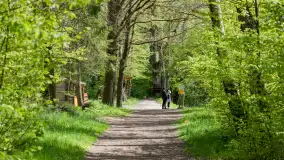 Śluzy na kanale mazurskim, maj 2023 - zdjęcie 17