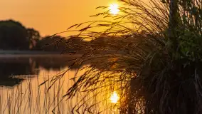 Majowy zachód słońca nad jeziorem Siercze, 2023 - zdjęcie 8