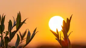 Majowy zachód słońca nad jeziorem Siercze, 2023 - zdjęcie 33