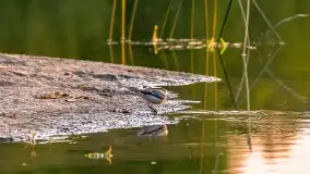 Majowy zachód słońca nad jeziorem Siercze, 2023 - zdjęcie 19