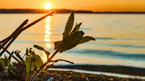 Zachód słońca nad jeziorem Niegocin, maj 2023 r. - zdjęcie 15