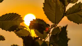 Zachód słońca nad jeziorem Niegocin, maj 2023 r. - zdjęcie 29