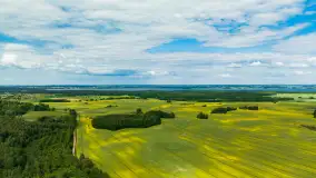 Wspomnienia rzepakowych pól na Mazurach 2023 - zdjęcie 20