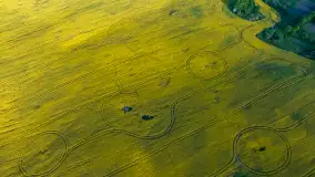 Wspomnienia rzepakowych pól na Mazurach 2023 - zdjęcie 44