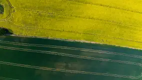 Wspomnienia rzepakowych pól na Mazurach 2023 - zdjęcie 59