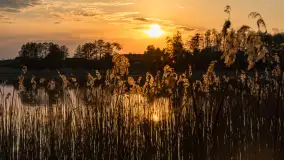 Zachód słońca nad jeziorem Mój, maj 2023 r. - zdjęcie 7