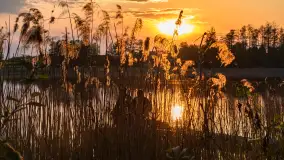 Zachód słońca nad jeziorem Mój, maj 2023 r. - zdjęcie 19