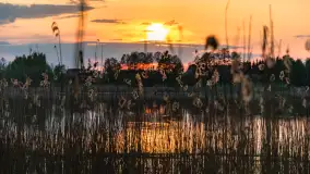 Zachód słońca nad jeziorem Mój, maj 2023 r. - zdjęcie 3