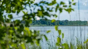 Jezioro Seksty i okolice kanału Jeglińskiego, czerwiec 2023 r. - zdjęcie 12