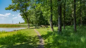 Jezioro Seksty i okolice kanału Jeglińskiego, czerwiec 2023 r. - zdjęcie 10