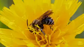 Najmniejsi mieszkańcu Mazur w naszym obiektywie, lipiec 2023 r. - zdjęcie 5