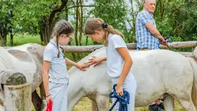 Fotorelacja z Sulimiady, czerwiec 2023 r. - zdjęcie 12