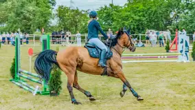 Fotorelacja z Sulimiady, czerwiec 2023 r. - zdjęcie 23