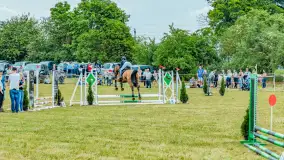 Fotorelacja z Sulimiady, czerwiec 2023 r. - zdjęcie 14