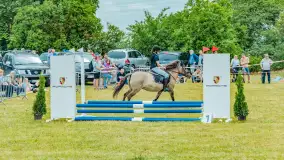 Fotorelacja z Sulimiady, czerwiec 2023 r. - zdjęcie 31