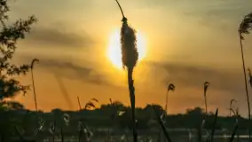 Zachód słońca nad jeziorem Dejgunek, maj 2023 r. - zdjęcie 18