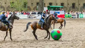 Fotorelacja z czempionatu w Stadzie Ogierów w Kętrzynie, lipiec 2023 - zdjęcie 51