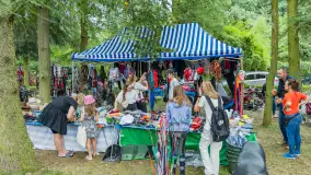 Fotorelacja z czempionatu w Stadzie Ogierów w Kętrzynie, lipiec 2023 - zdjęcie 45