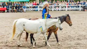 Fotorelacja z czempionatu w Stadzie Ogierów w Kętrzynie, lipiec 2023 - zdjęcie 22