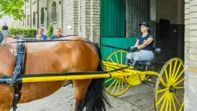 Fotorelacja z czempionatu w Stadzie Ogierów w Kętrzynie, lipiec 2023 - zdjęcie 3