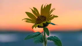 Zachód słońca w okolicach Wopławek i Kętrzyna - zdjęcie 20