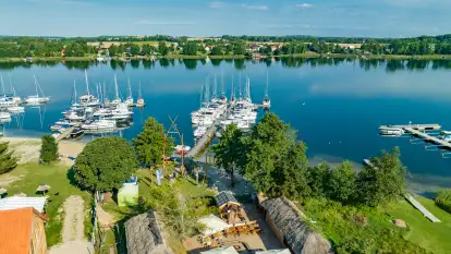 Poranek w tle dla Mew, sierpień 2023 r.