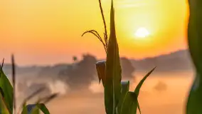 Wschód słońca we wsi Pożarki, wrzesień 2023 r. - zdjęcie 20