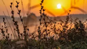 Wschód słońca we wsi Pożarki, wrzesień 2023 r. - zdjęcie 10