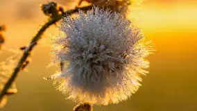 Wschód słońca we wsi Pożarki, wrzesień 2023 r. - zdjęcie 31