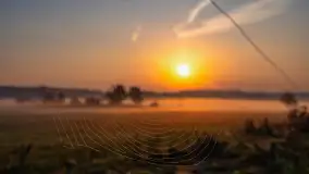 Wschód słońca we wsi Pożarki, wrzesień 2023 r. - zdjęcie 5