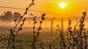 Wschód słońca we wsi Pożarki, wrzesień 2023 r. - zdjęcie 23