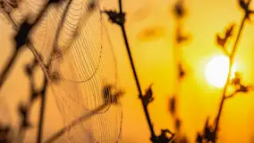 Wschód słońca we wsi Pożarki, wrzesień 2023 r. - zdjęcie 38