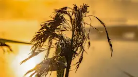 Wrześniowy i mglisty wschód słońca nad jeziorem Mój - zdjęcie 21