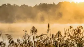 Wrześniowy i mglisty wschód słońca nad jeziorem Mój - zdjęcie 35