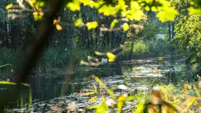 Piękno Sapiny w okolicach Pozezdrza, wrzesień 2023 r. - zdjęcie 15