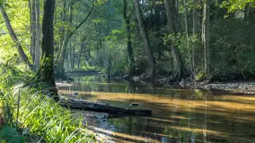 Piękno Sapiny w okolicach Pozezdrza, wrzesień 2023 r. - zdjęcie 4