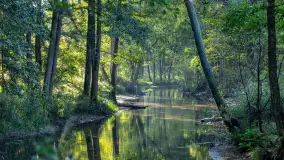 Piękno Sapiny w okolicach Pozezdrza, wrzesień 2023 r. - zdjęcie 16