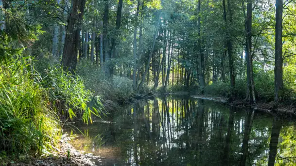 Piękno Sapiny w okolicach Pozezdrza, wrzesień 2023 r. - zdjęcie 2