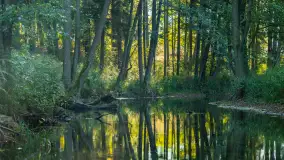 Piękno Sapiny w okolicach Pozezdrza, wrzesień 2023 r. - zdjęcie 40