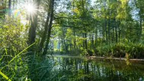 Piękno Sapiny w okolicach Pozezdrza, wrzesień 2023 r. - zdjęcie 14