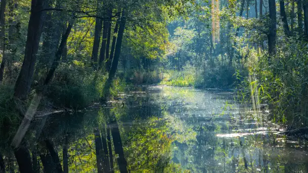 Piękno Sapiny w okolicach Pozezdrza, wrzesień 2023 r. - zdjęcie 10