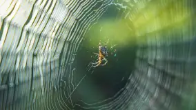 Piękno Sapiny w okolicach Pozezdrza, wrzesień 2023 r. - zdjęcie 22