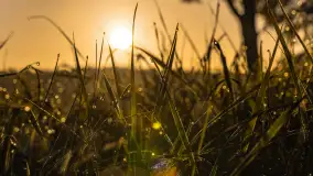 Wschód słońca nad jeziorem Iławki - zdjęcie 16