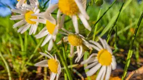 Wschód słońca nad jeziorem Iławki - zdjęcie 26